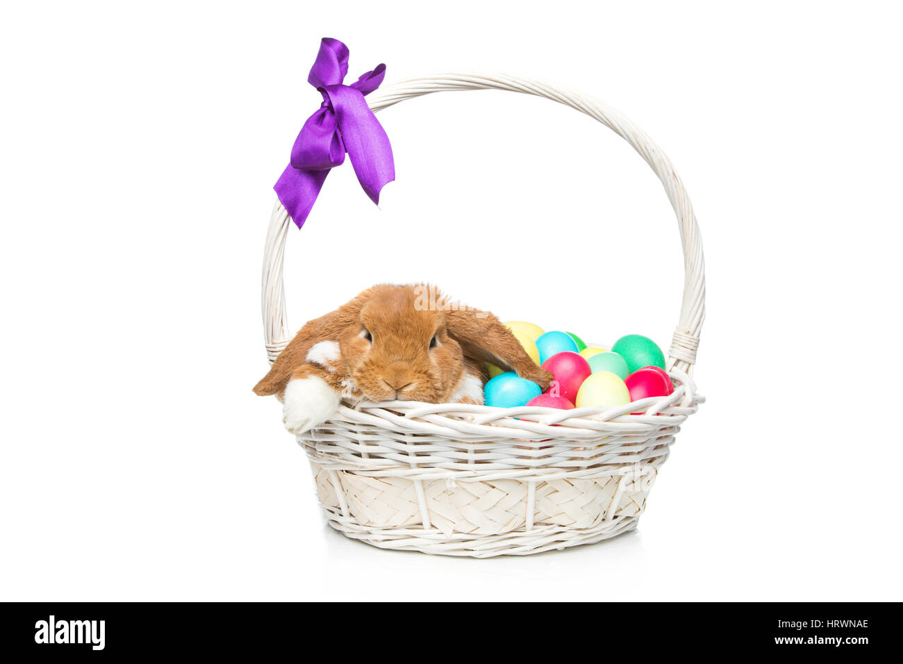 Entzückende roten Sattelschweins Hauskaninchen sitzen im Korb mit Ostern farbigen Eiern. Osterhase. Isoliert auf weißem Hintergrund. Kopieren Sie Raum. Stockfoto