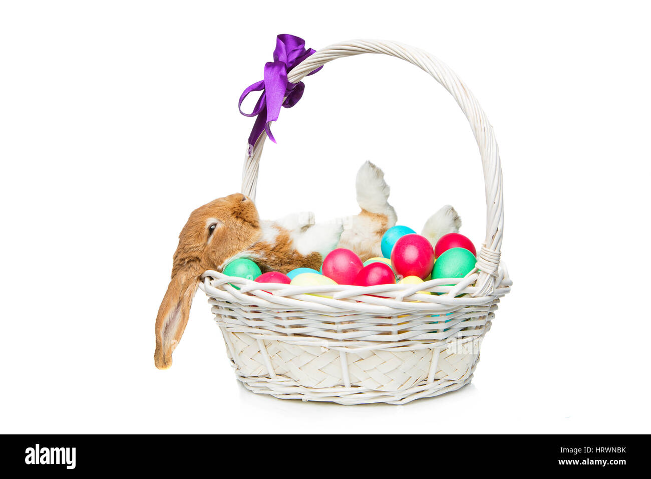 Entzückende roten Sattelschweins Hauskaninchen sitzen im Korb mit Ostern farbigen Eiern. Osterhase. Isoliert auf weißem Hintergrund. Kopieren Sie Raum. Stockfoto