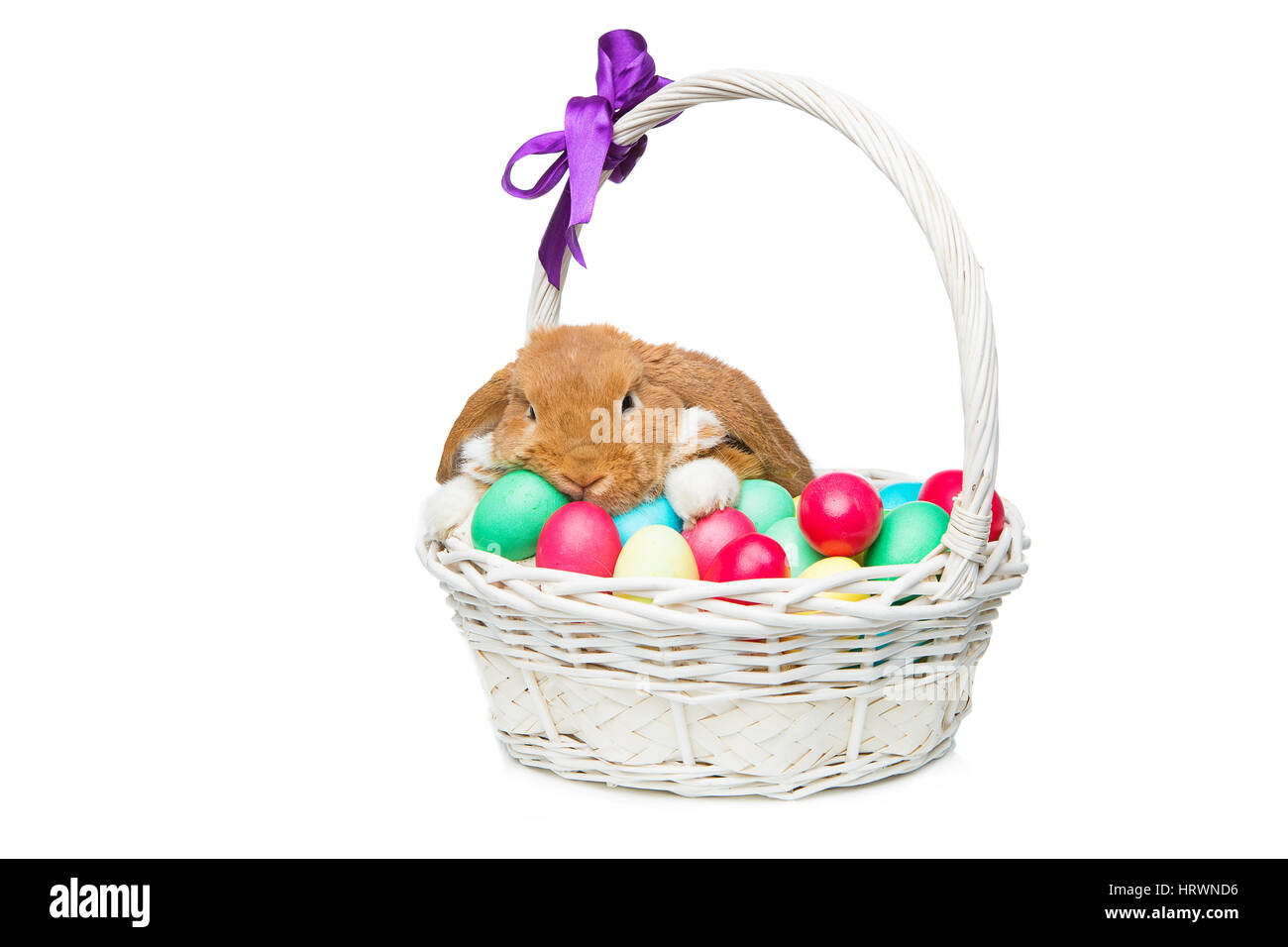Entzückende roten Sattelschweins Hauskaninchen sitzen im Korb mit Ostern farbigen Eiern. Osterhase. Isoliert auf weißem Hintergrund. Kopieren Sie Raum. Stockfoto