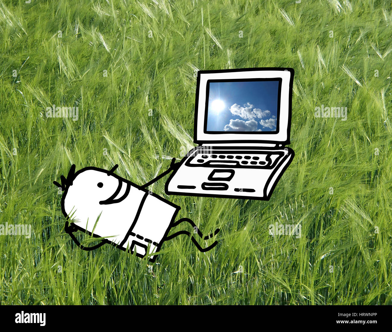 Cartoon-Figur - Mann in einem Feld mit laptop Stockfoto