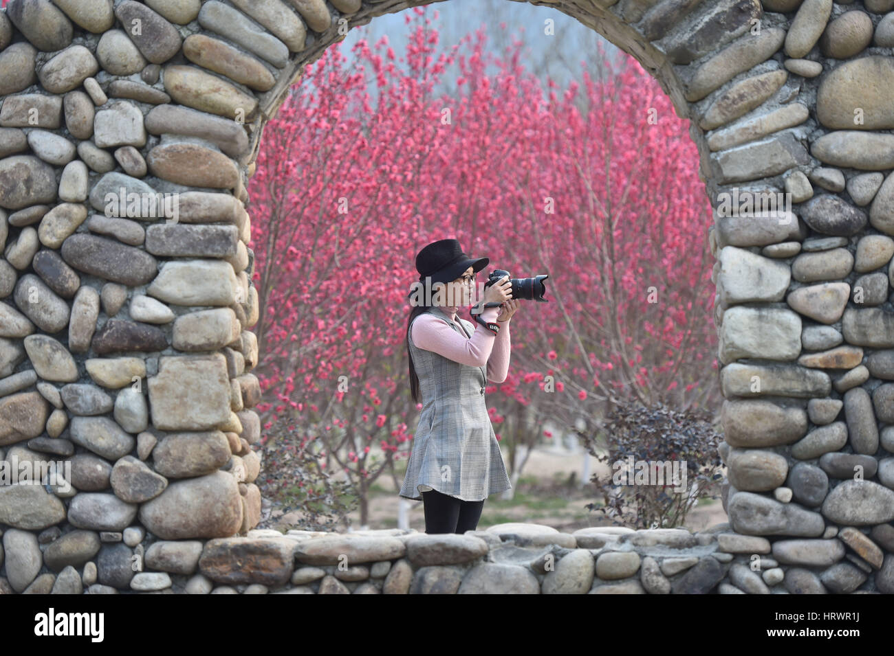 Dehua, Chinas Provinz Fujian. 4. März 2017. Ein Besucher fotografiert auf der Pfirsichblüten-Insel in Dehua County, Südost-China Fujian Provinz, 4. März 2017. Bildnachweis: Song Weiwei/Xinhua/Alamy Live-Nachrichten Stockfoto