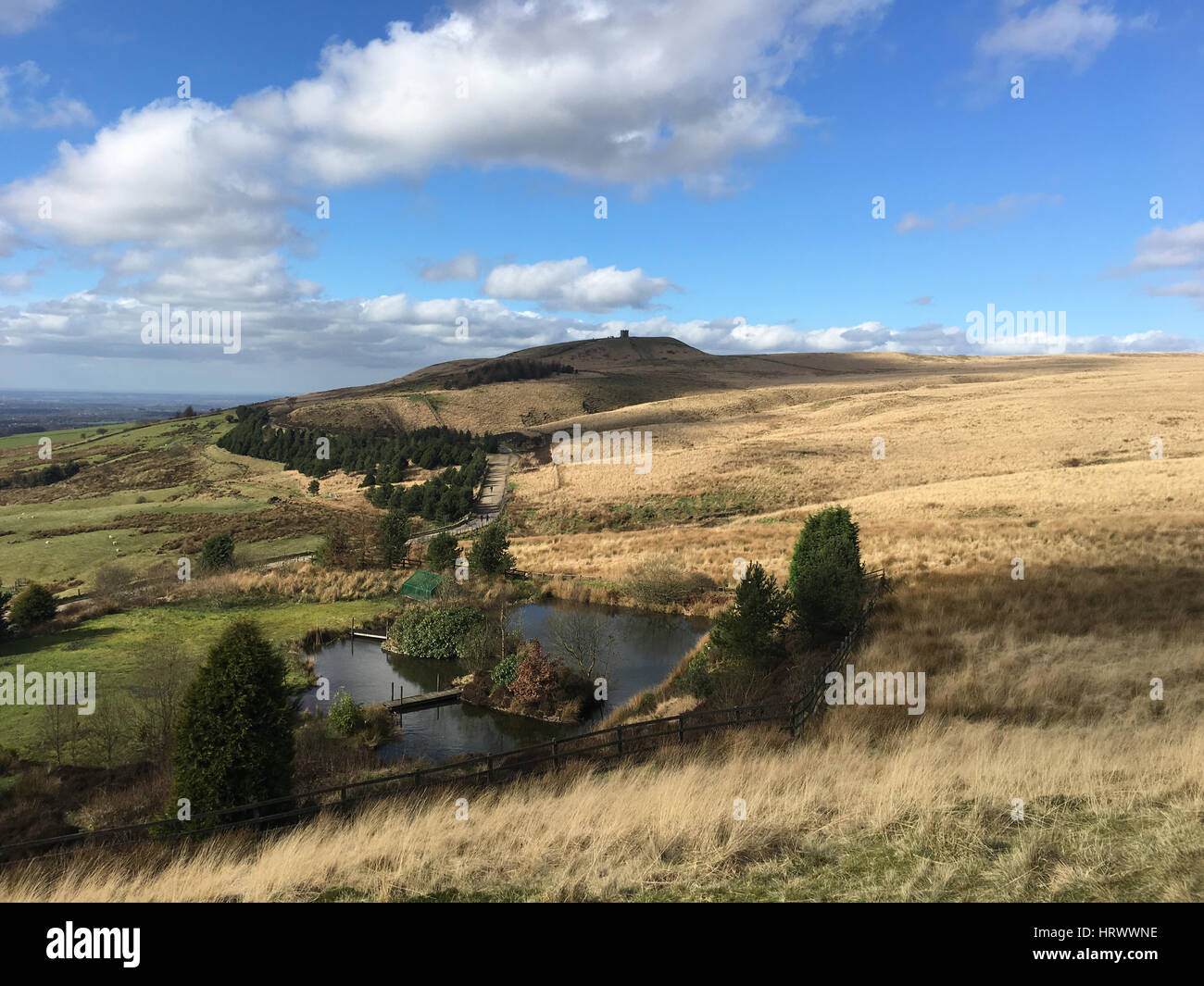 Rivington Hecht, Lancashire, Großbritannien 4. März 2017, Frühling Sonnenschein auf Rivington Hecht Lancashire Credit: David Billinge/Alamy Live-Nachrichten Stockfoto