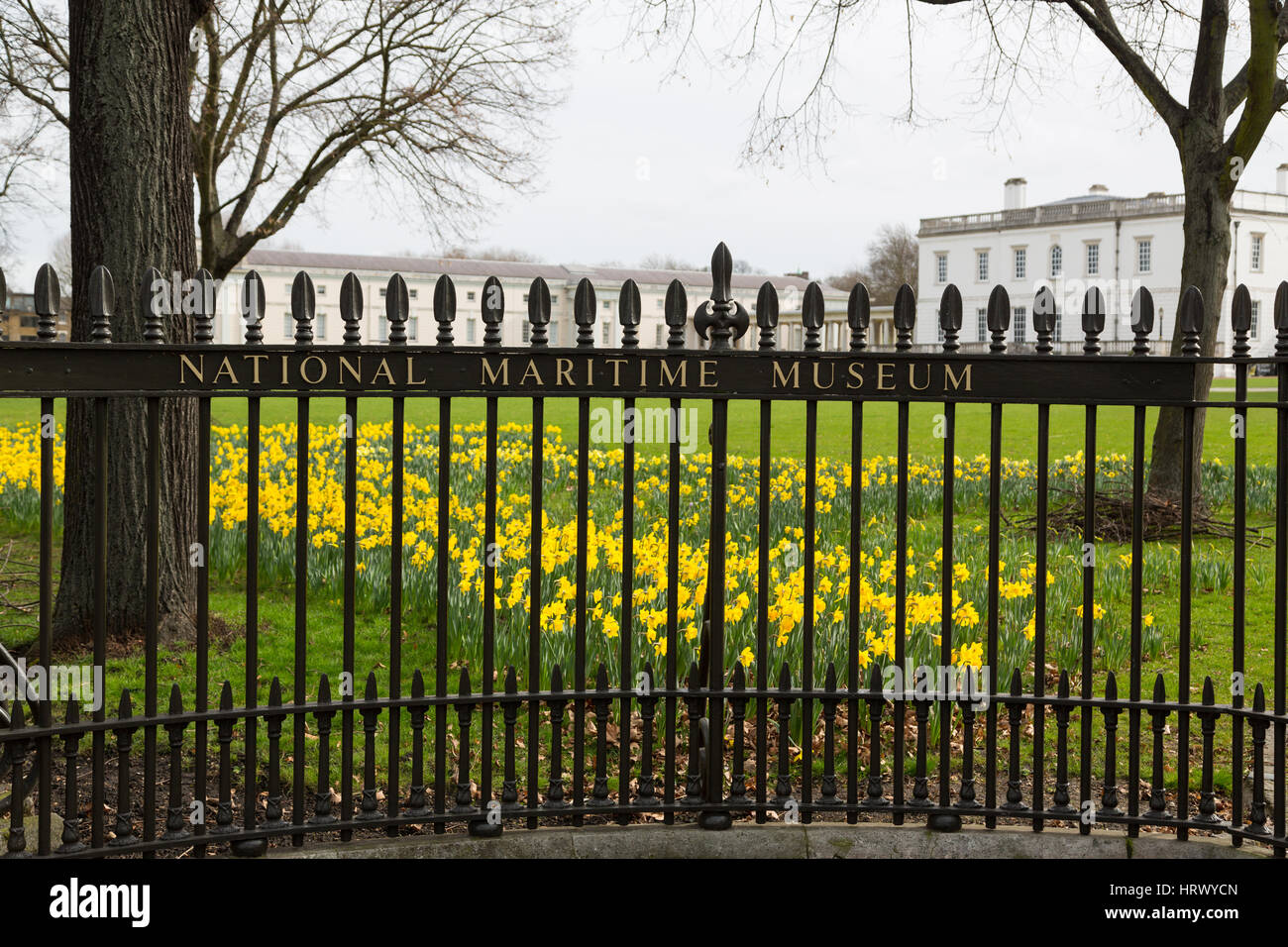 Greenwich, London, Vereinigtes Königreich. 4. März 2017. Frühling Narzissen im Bild heute vor dem National Maritime Museum und Queen es House in Greenwich, London. Rob Powell/Alamy Live-Nachrichten Stockfoto