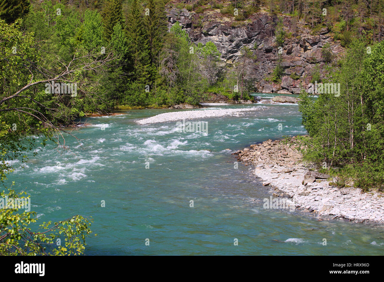 Schöne Landschaft mit reinen Gletscherfluss und Wald in Norwegen Stockfoto