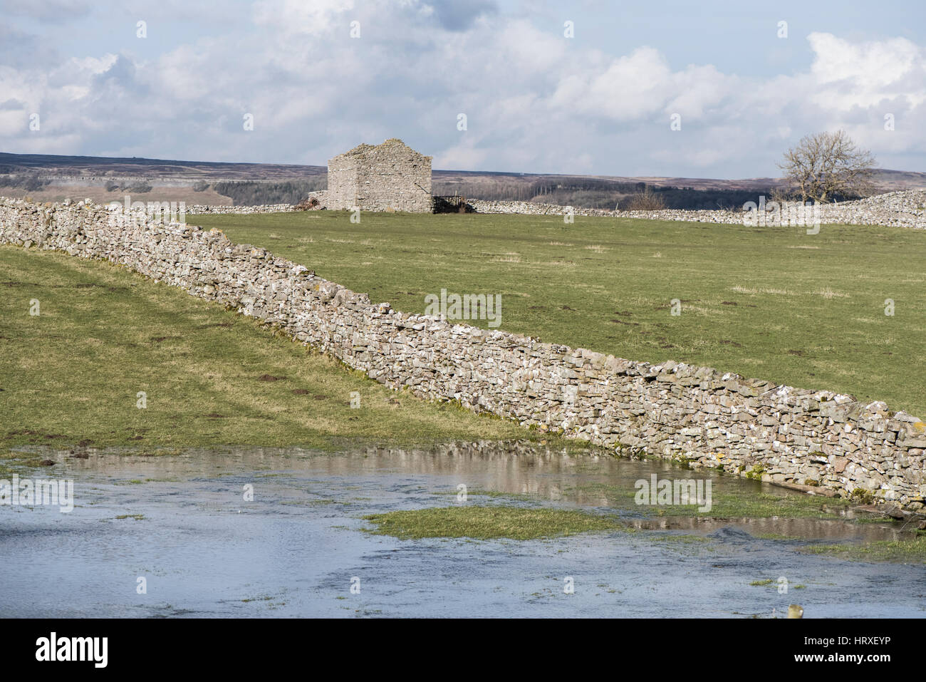 Trockenmauer und Feld Scheune in der Nähe von West Witton, Wensleydale, Yorkshire Dales National Park, zeigen typische 19. Jahrhundert Gehäuse layout Stockfoto