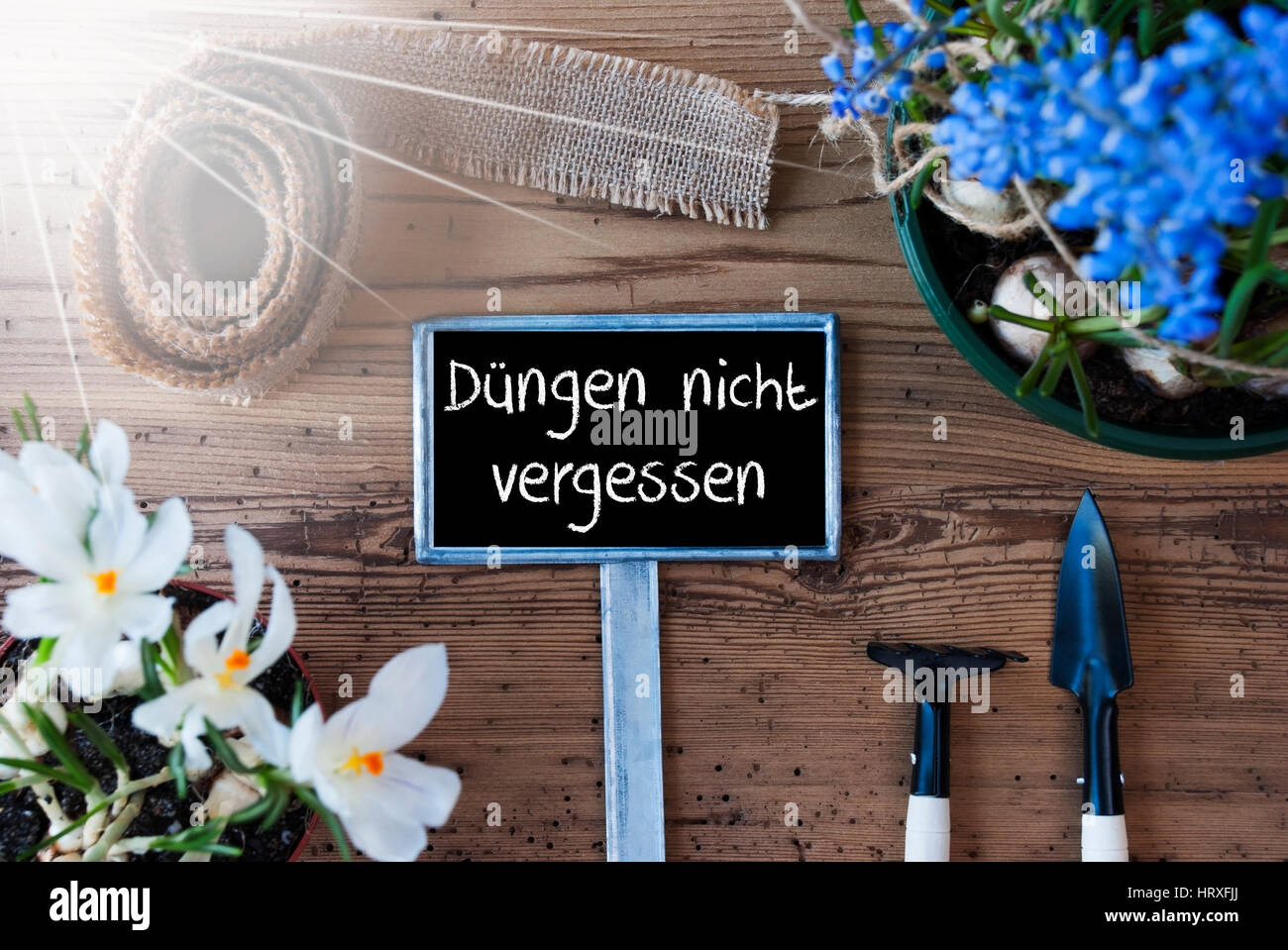 Schild mit deutschem Text Duengen Nicht Vergessen bedeutet Dont vergessen, Dung. Sonnigen Frühlingsblumen wie Trauben Hyazinthe und Krokus. Gartengeräte wie Rak Stockfoto