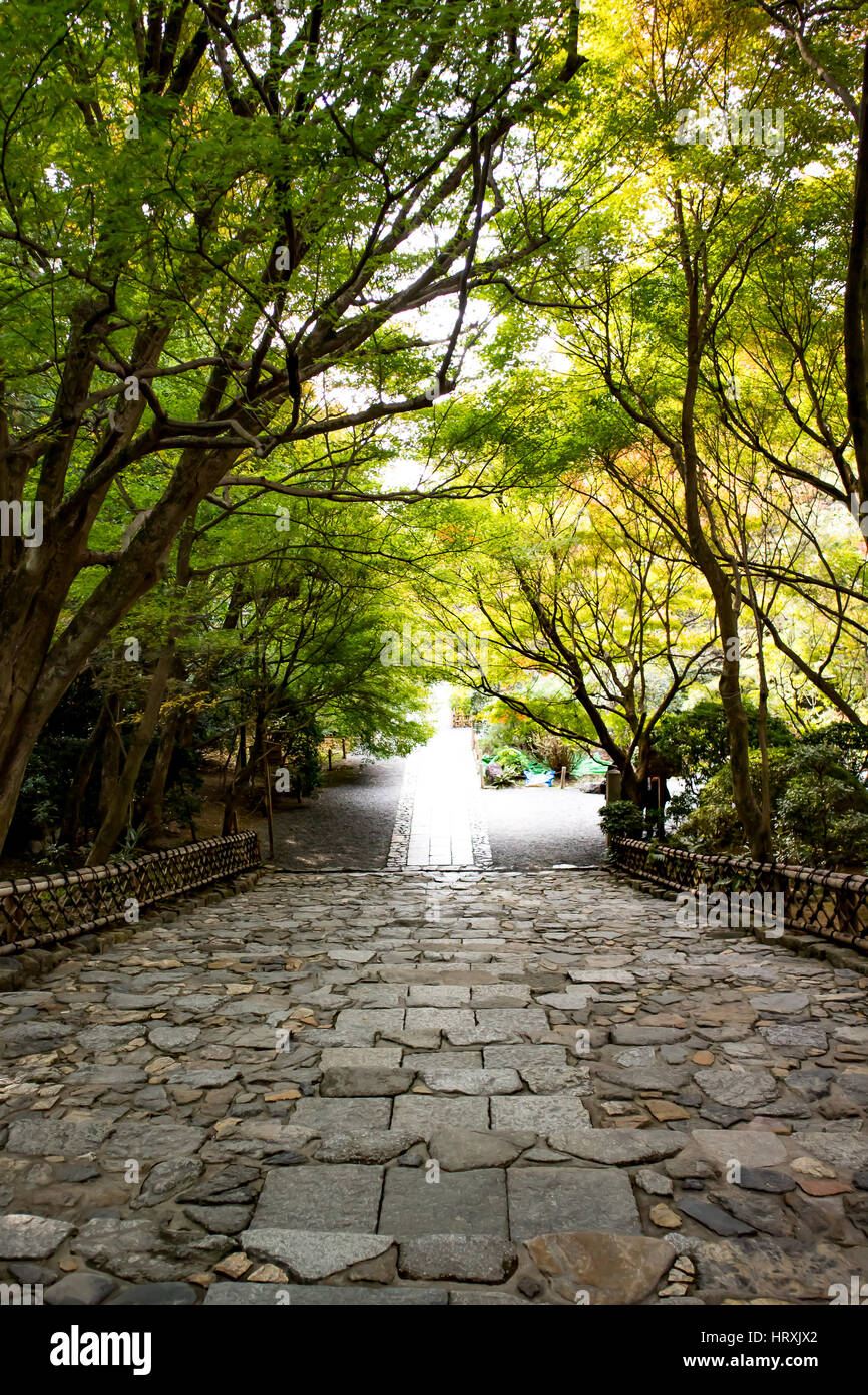 Gehweg von der trockenen Blätter im Herbst Ryoanji Tempel, Kyoto, Japan. Stockfoto