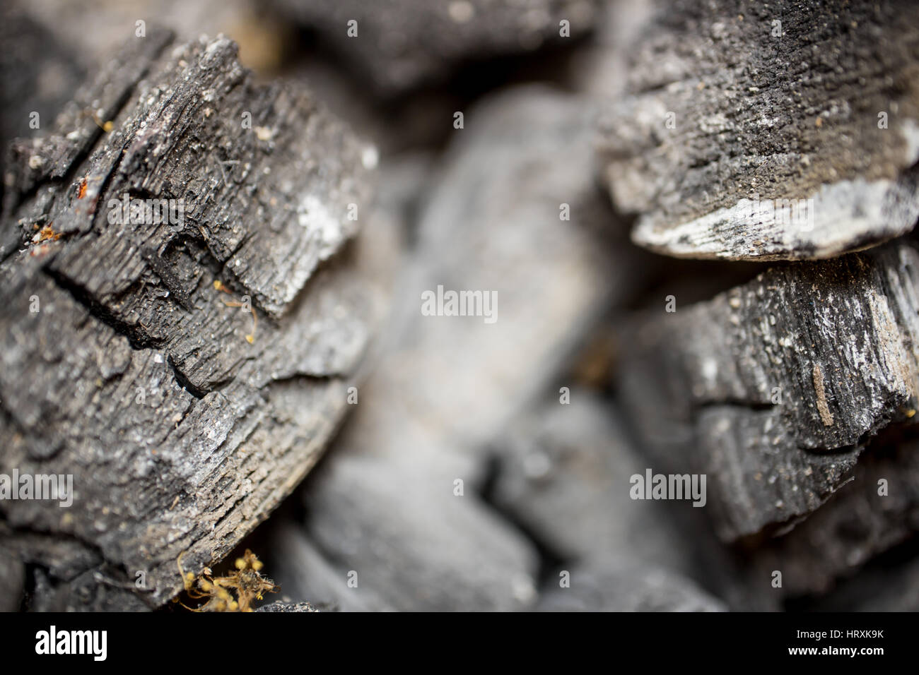 Holzkohle engen angespannten Makro. Schwarzen Hintergrund und Textur auf unscharfen Fokus. Stockfoto