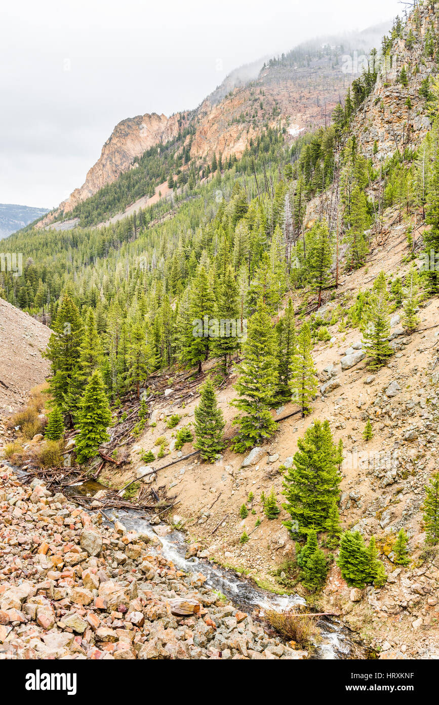 Felsenschlucht Berg im Yellowstone-Nationalpark Stockfoto