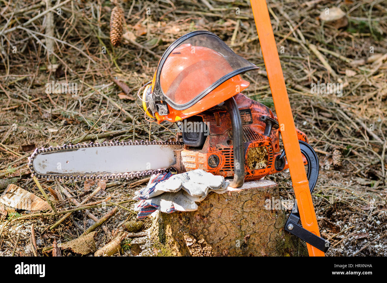 Ausrüstung für Holzfäller Kettensäge und Helm Stockfoto
