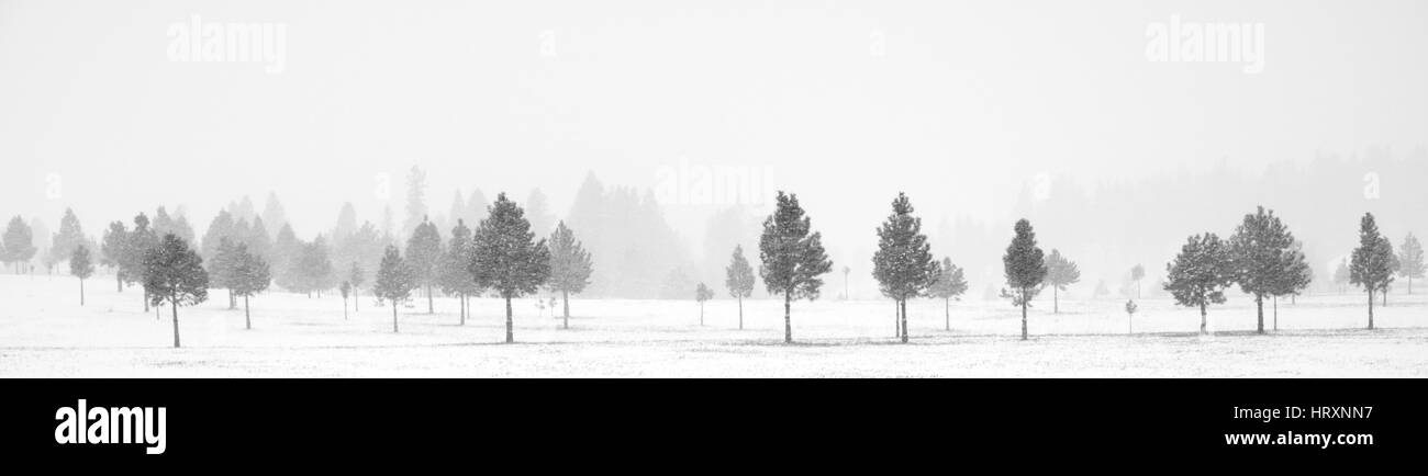 Verschneiten Tag im östlichen Oregon Stockfoto