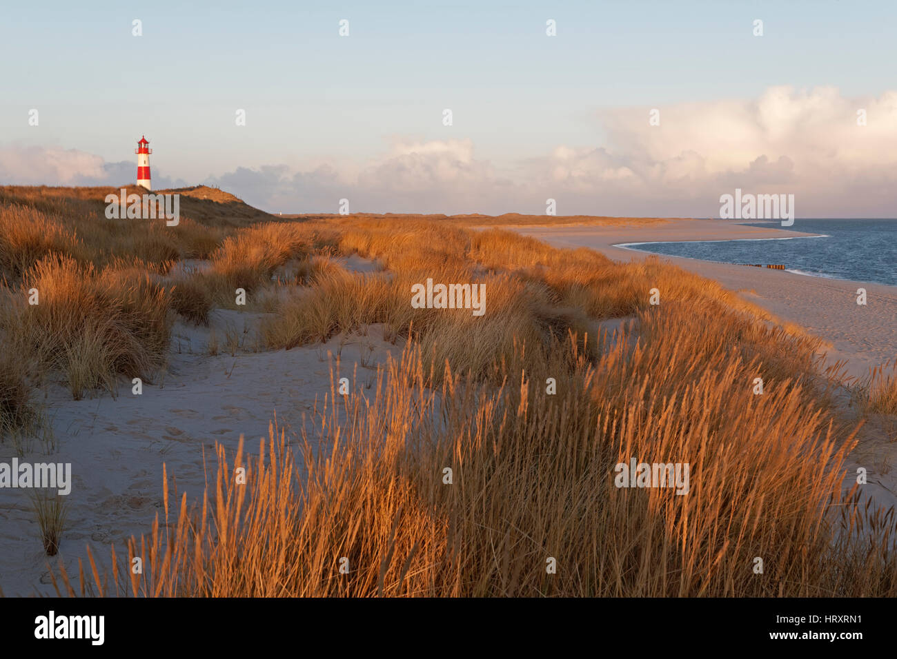 Leuchtturm-Liste-Osten auf der Halbinsel Ellenbogen Liste mit Vollmond, Sylt, Nordfriesland, Schleswig-Holstein, Deutschland, Europa Stockfoto