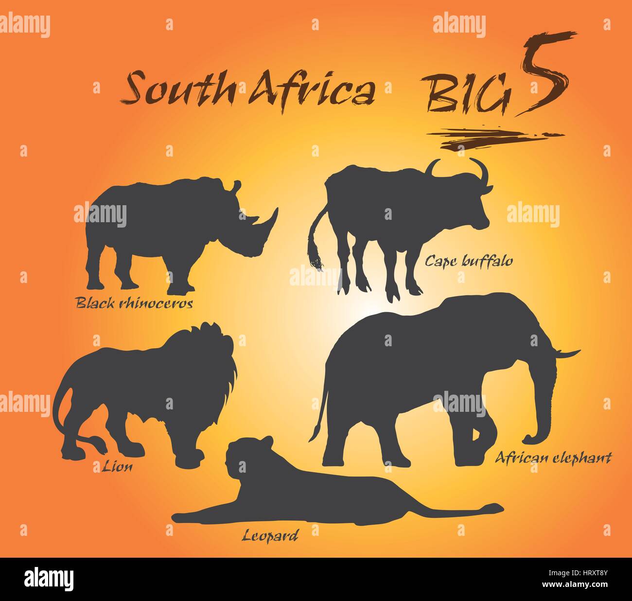 In Afrika sind die großen fünf Spiel Tiere der afrikanischen Löwen, Afrikanischer Elefant, Cape Buffalo, afrikanischer Leopard und Nashorn. Stock Vektor