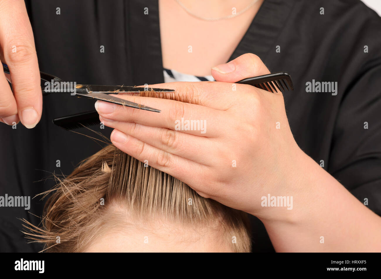 Junge Männer bei professionellen Friseur, Friseur Stockfoto