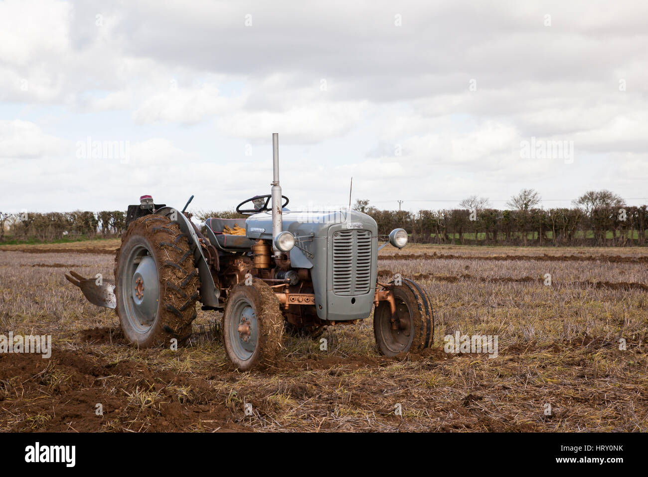 Pflügen Spiel in Trowbridge, Wiltshire, England, Großbritannien Stockfoto