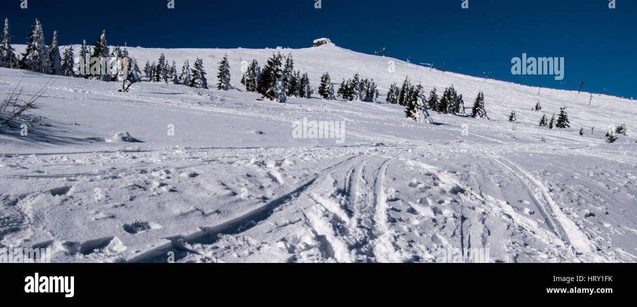 Petrovy kameny Hügel mit felsformation Schnee und klaren Himmel im Winter Gesenke in der Tschechischen Republik Stockfoto