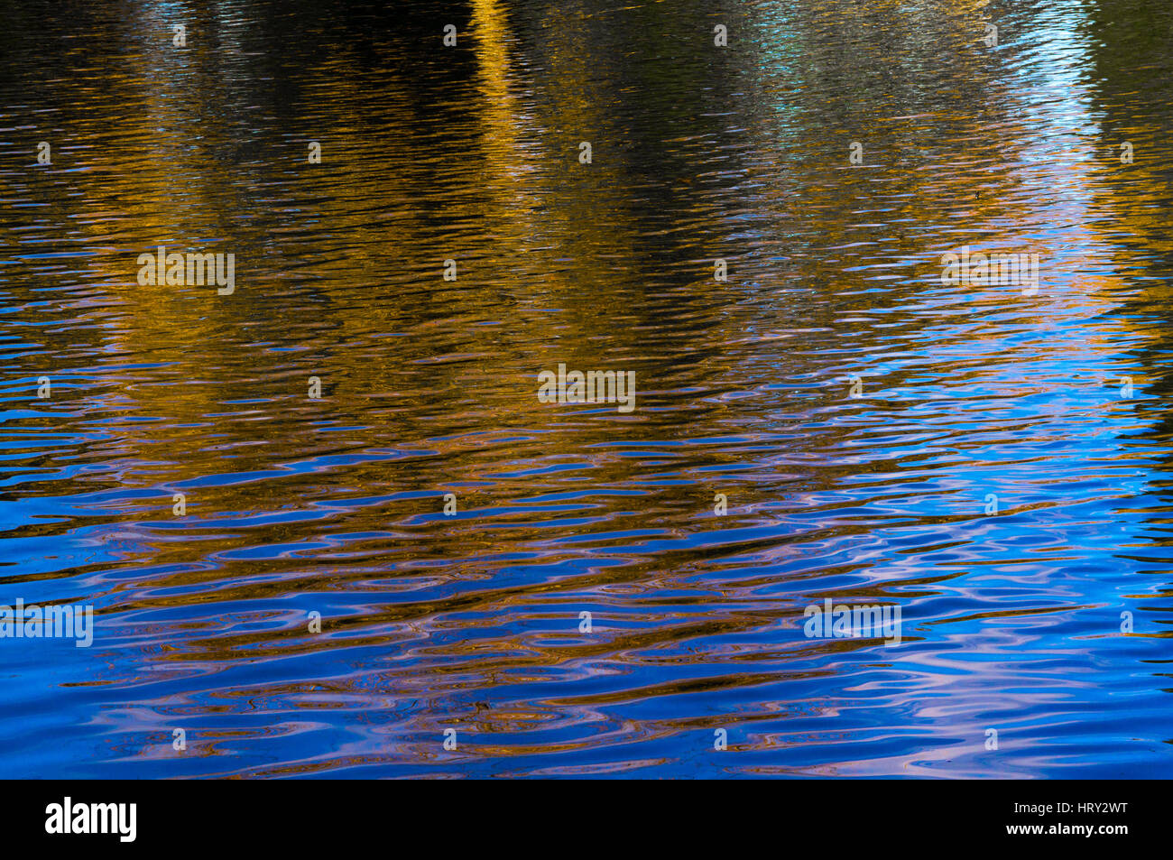 Reflexionen in einem Teich Stockfoto