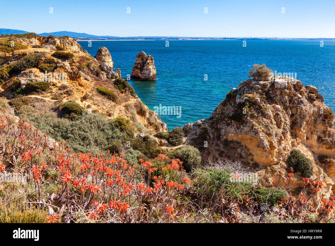 Schönen Algarveküste mit Blumen in der Nähe von Lagos Portugal Stockfoto