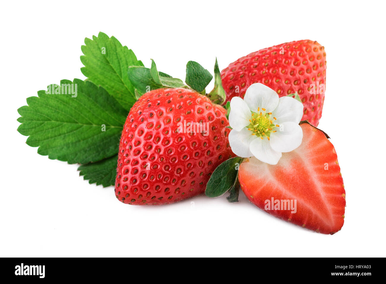 Reife Bio-Erdbeeren mit Blatt auf weiß Stockfoto