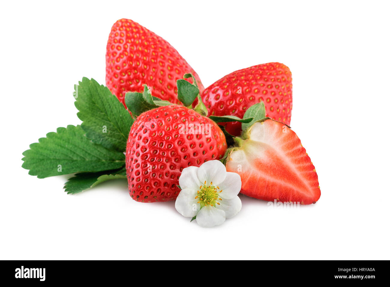 frische Bio-Erdbeeren mit Blatt und Blume auf weiß Stockfoto