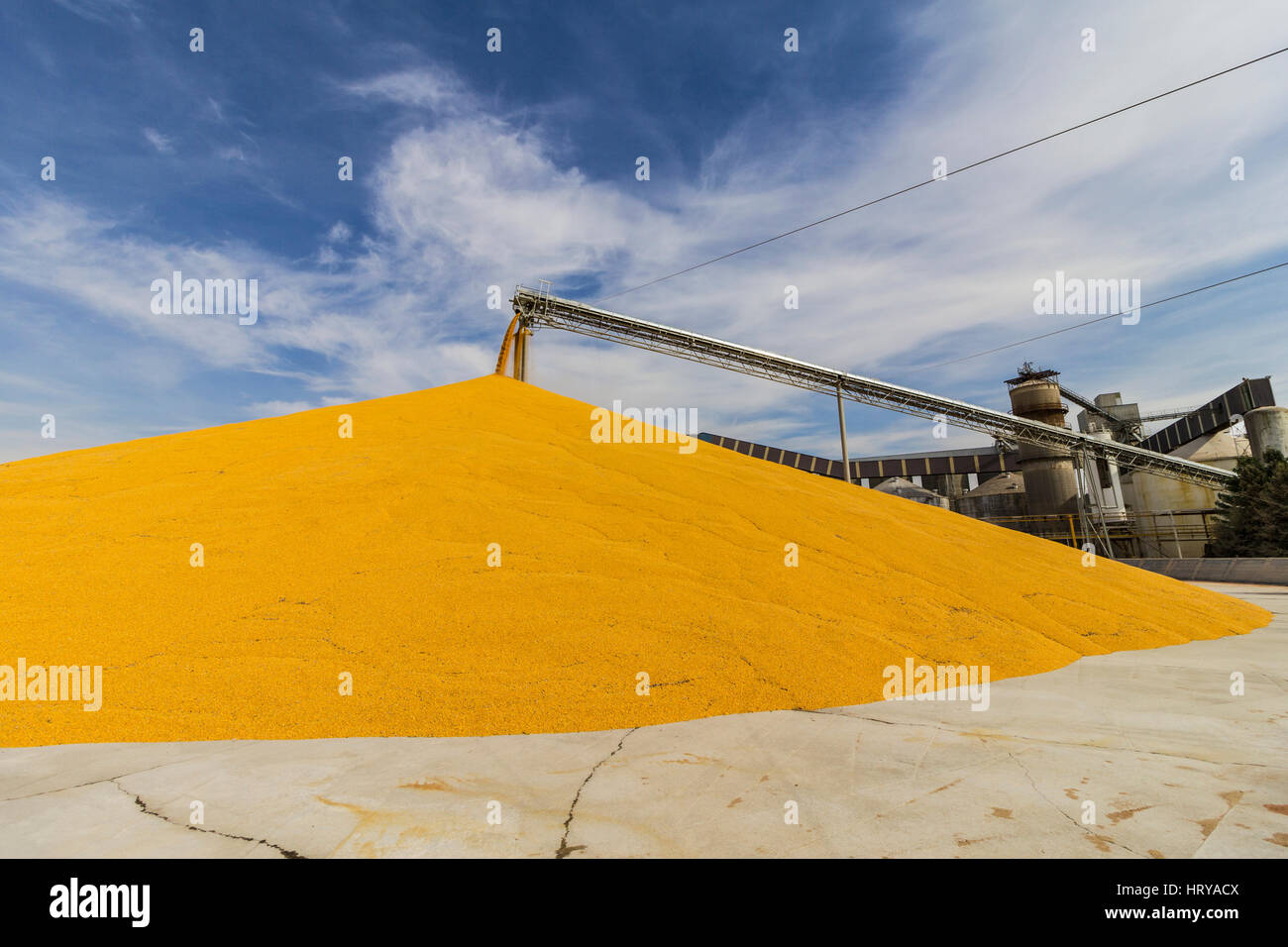 Mais und Getreide verarbeiten oder Ernte Terminal. Mais eignet sich für Lebensmittel, Futtermittel oder Ethanol ich Stockfoto