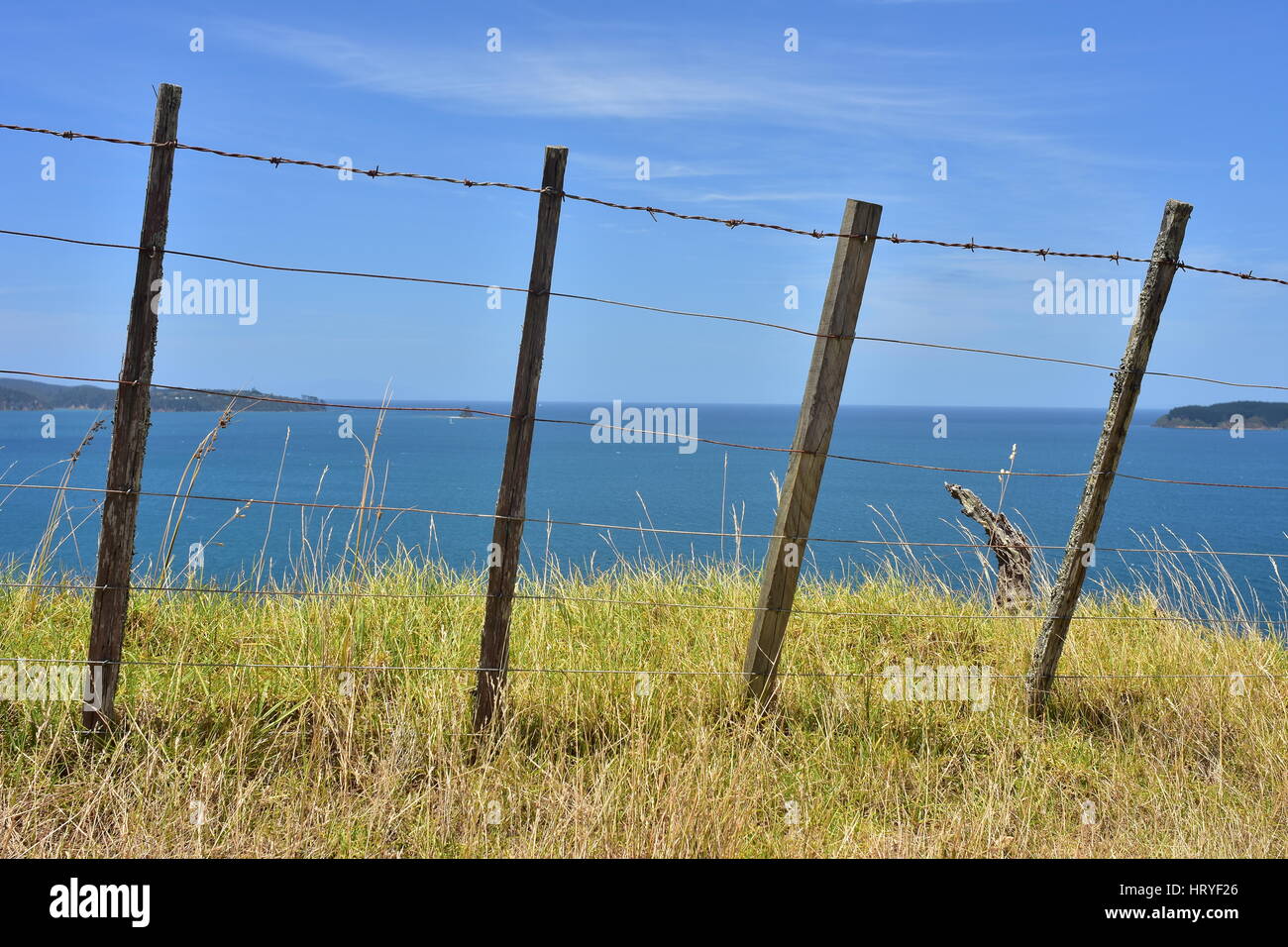 Vieh Draht Zaun mit oberen Stacheldraht auf Rasen mit Meer im Hintergrund. Stockfoto