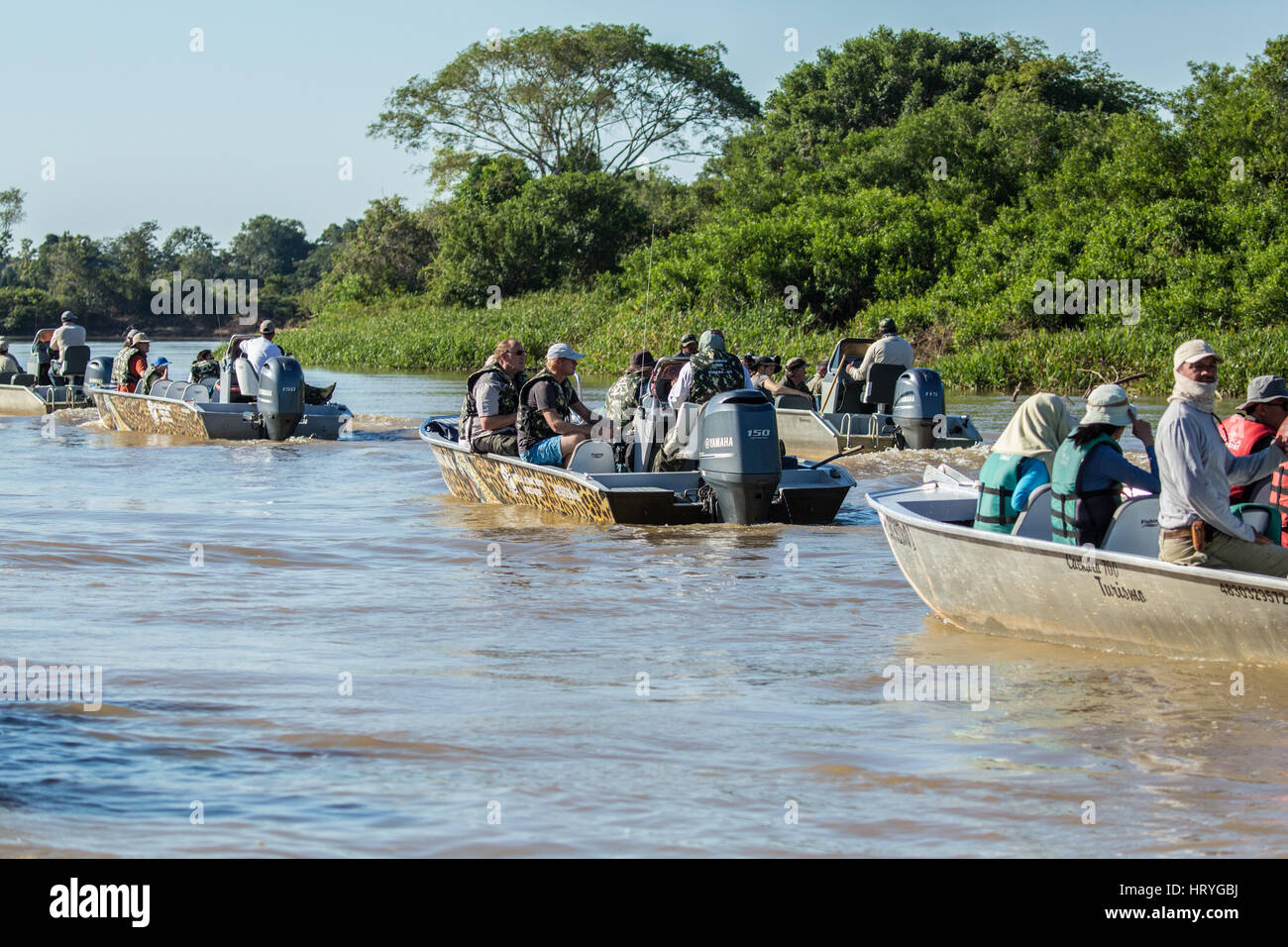 Eine Gruppe von Booten voller Touristen warten auf einen Jaguar am Ufer von seinem aufstehen ausruhen und aktiv sein, in der Pantanal-Region, Mato Grosso, South Amer Stockfoto