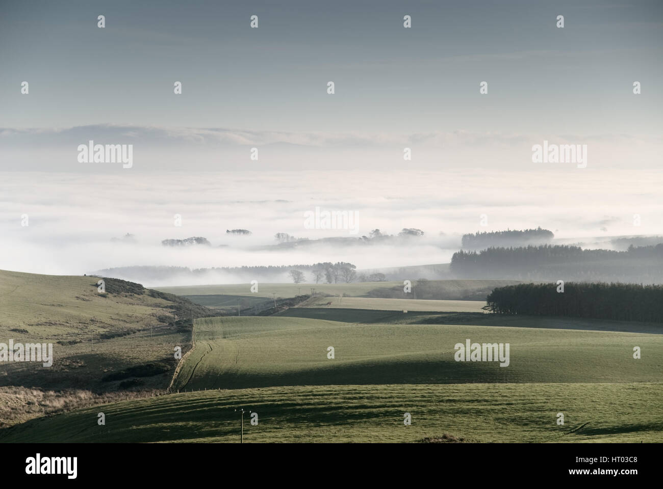 Ein Undercast aus der Lammermuir Hügel, verursacht durch eine Temperatur-Inversion in der Nähe der Stadt Duns in den Scottish Borders betrachtet. Stockfoto