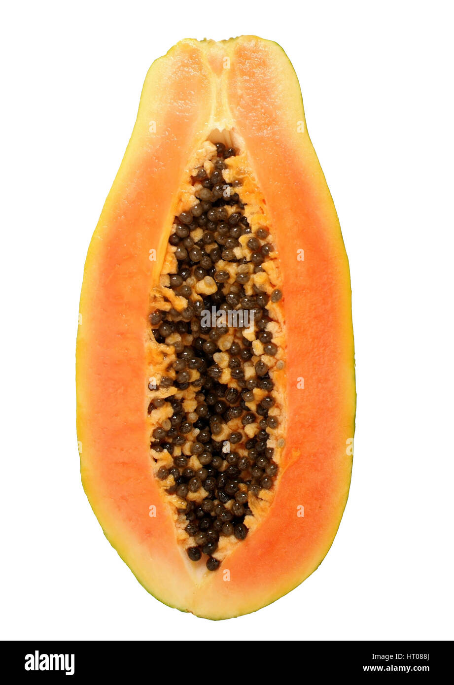 jersey rennrad Trikot Damen Dunkelpink – Magenta Queen Rutscht nicht@ Die Bikeahead Anime Svg Variante:7 Mix Anthrazit