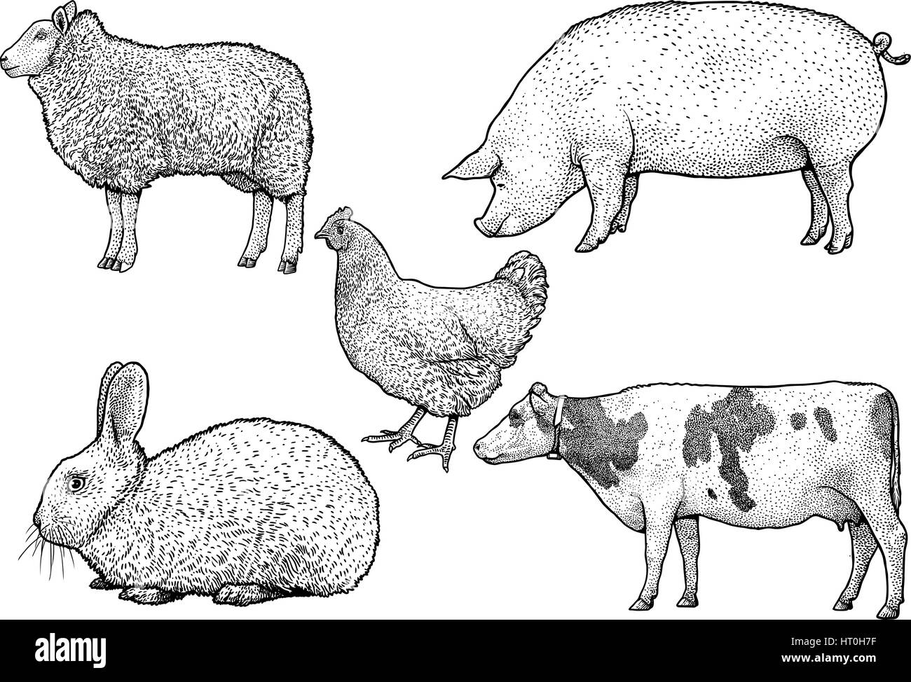 Bauernhof Tiere Illustration, Zeichnung, Gravur, Tinte, Strichzeichnungen, Vektor Stock Vektor