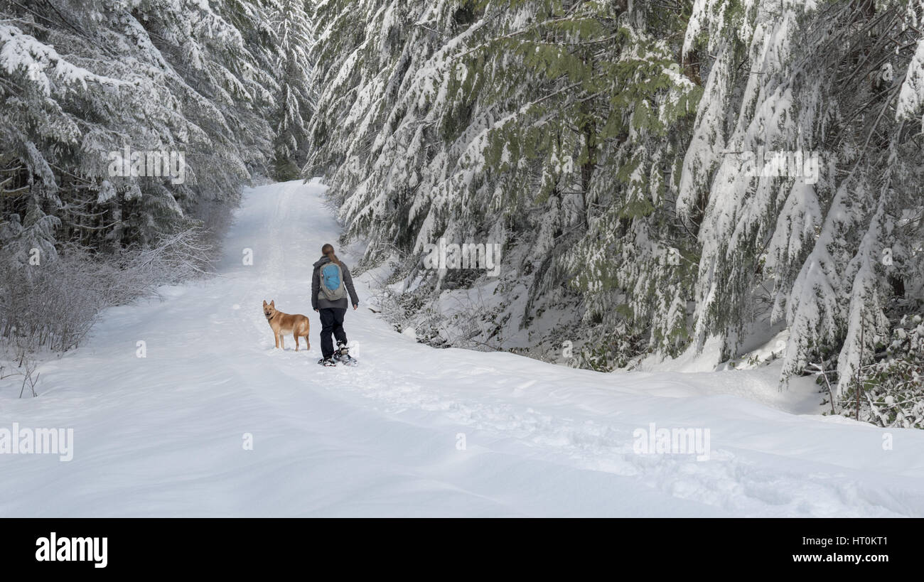 Frau mit Tier im Wald Schneeschuhwandern Stockfoto