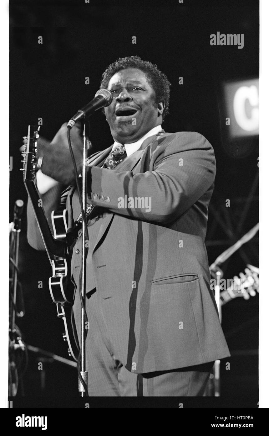 B.b. King, Hauptstadt Jazz, Knebworth, 1982.   Künstler: Brian O'Connor. Stockfoto