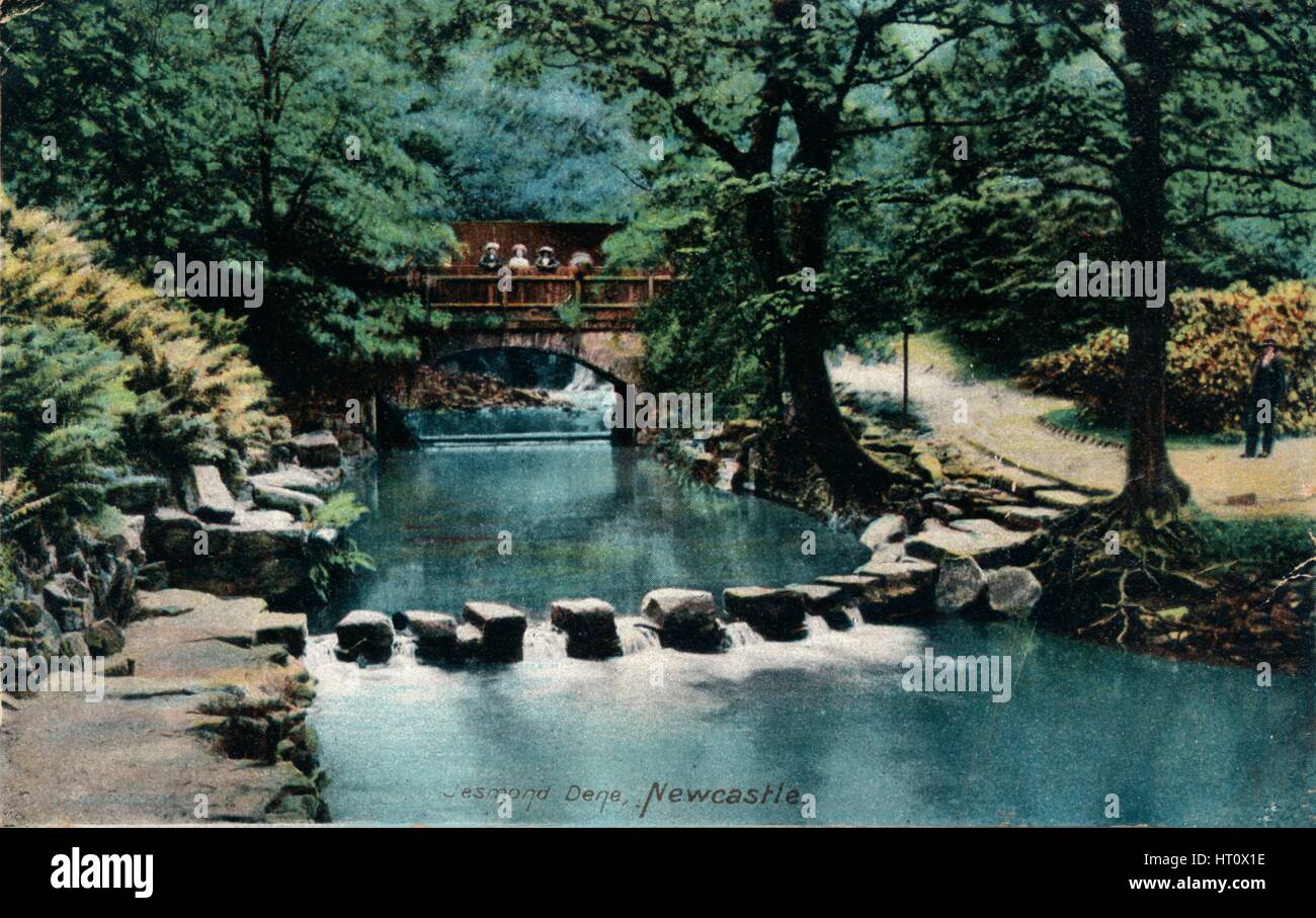 Jesmond Dene, Newcastle, c1905. Künstler: unbekannt. Stockfoto