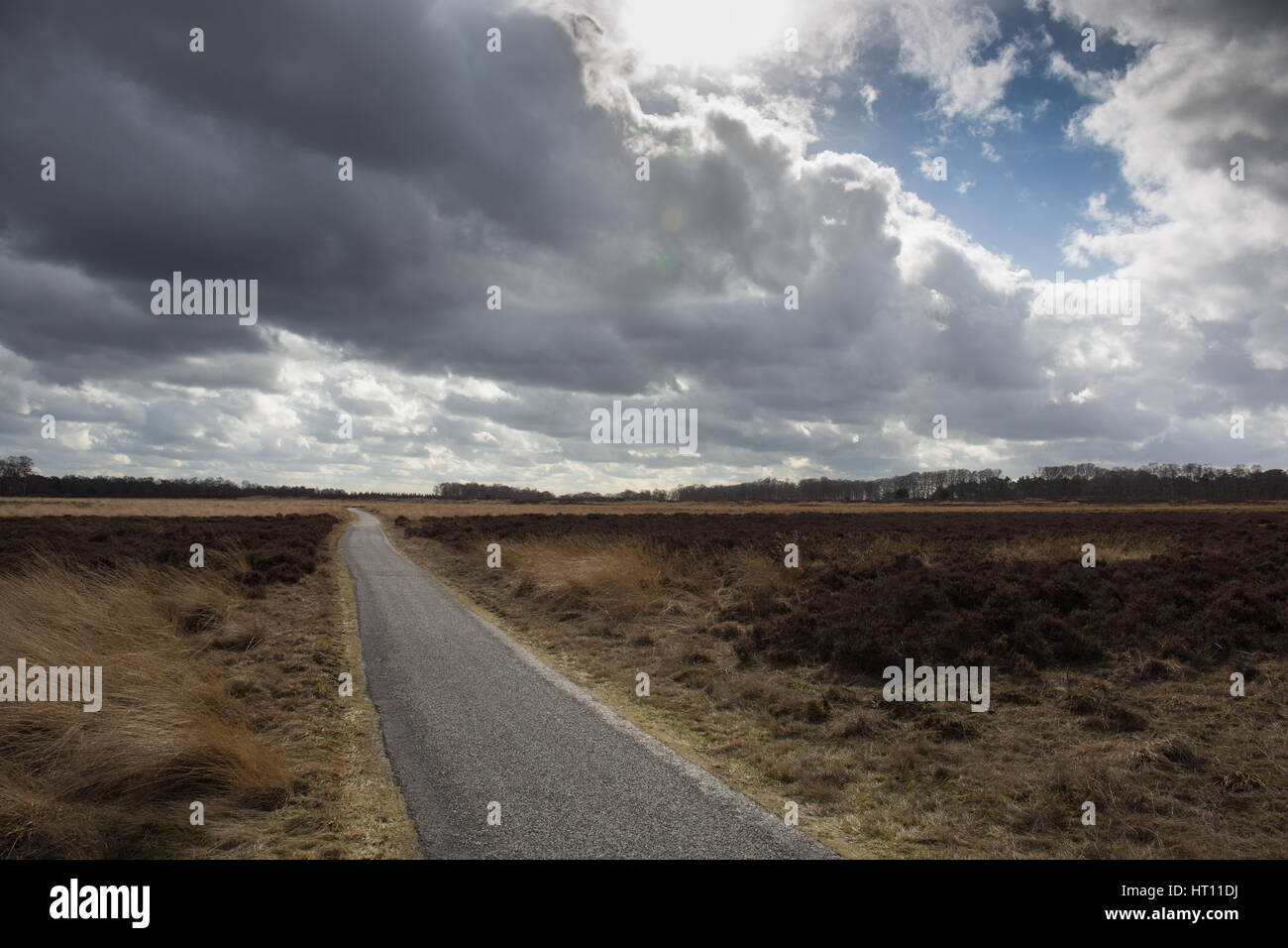 Dunkle Wolken über einen Radweg im Nationalpark Hoge Veluwe in den Niederlanden Stockfoto