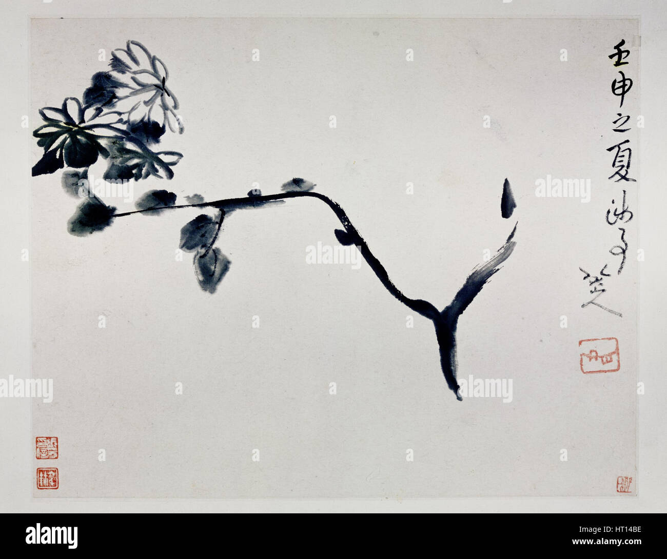 Chrysantheme, 1692. Künstler: Zhu Da, (Bada Shanren) (1625-1705) Stockfoto