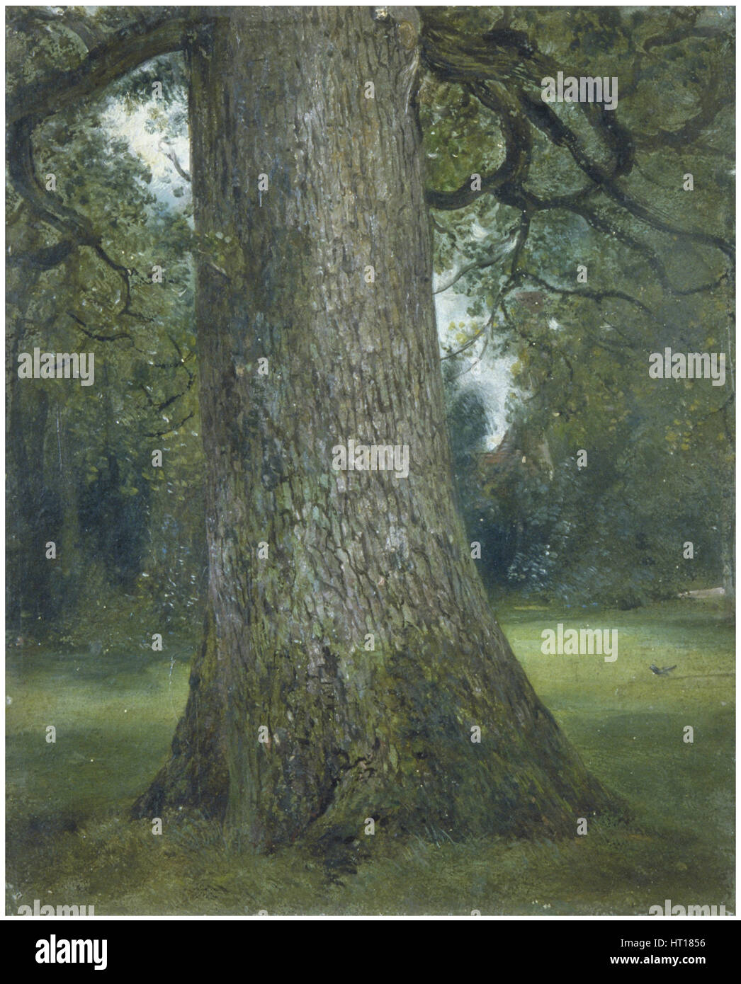 Studie des Rumpfes eine Ulme, c. 1824. Künstler: Constable, John (1776-1837) Stockfoto