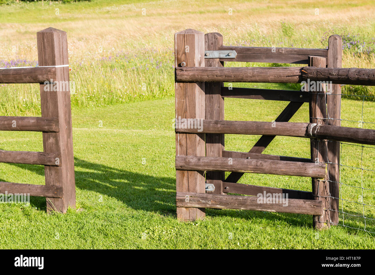 Holz- feld Tor öffnet sich auf einer grünen Wiese Stockfoto