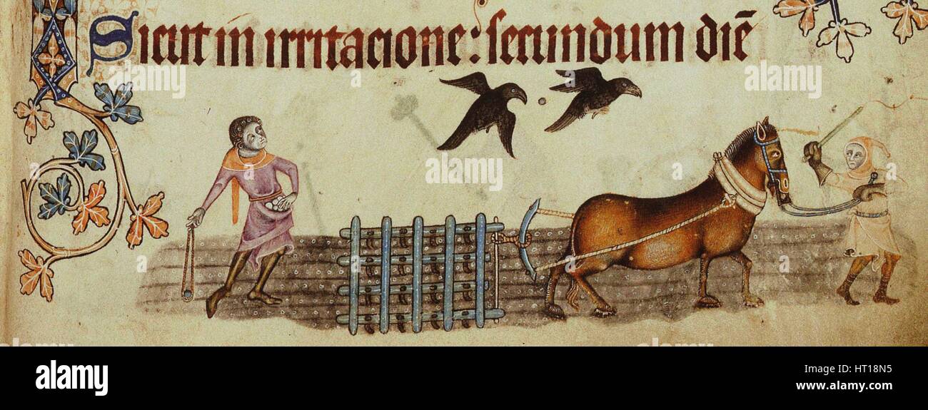 Bauern Pflügen (von Luttrell Psalter), ca. 1330. Künstler: anonym Stockfoto