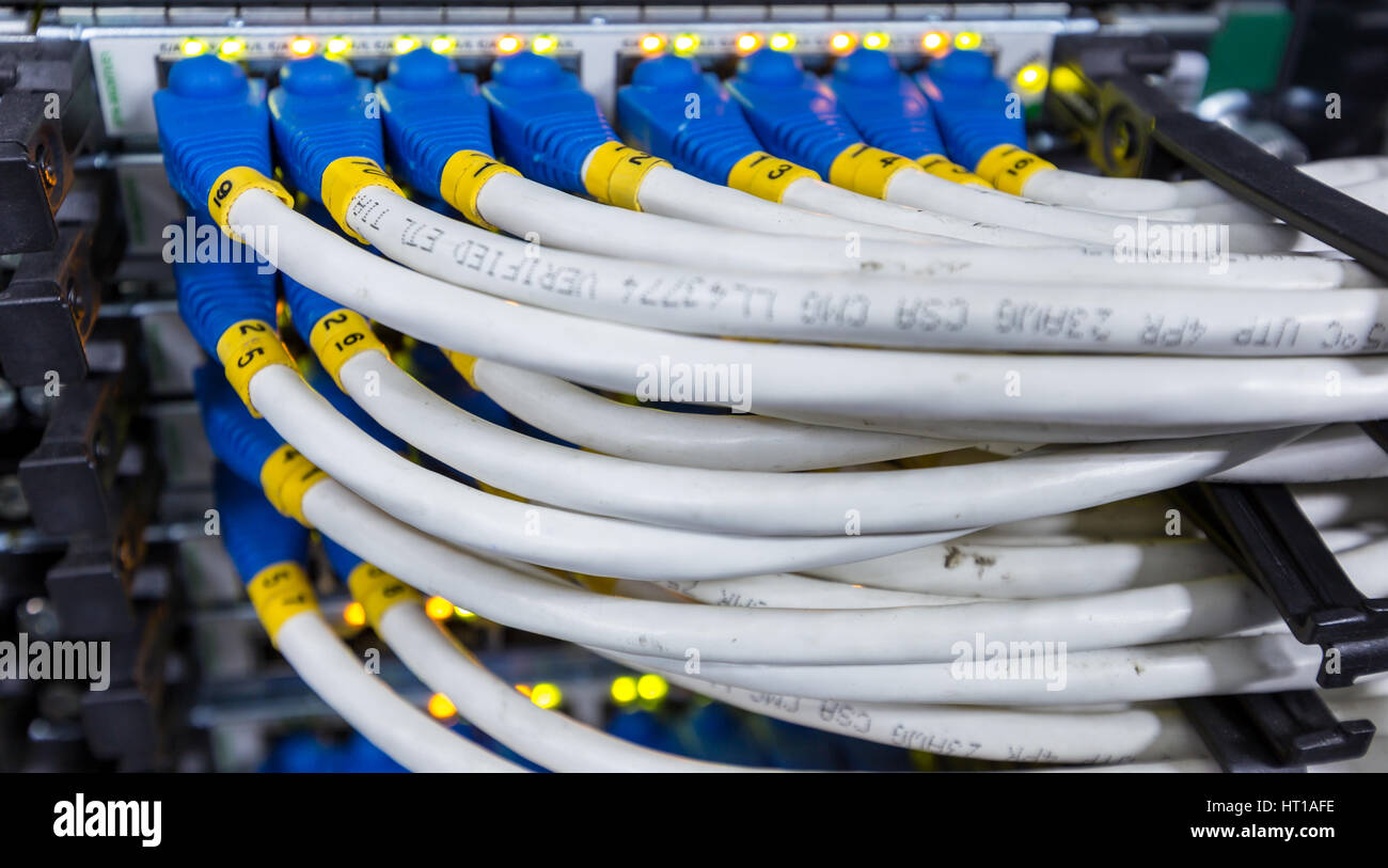 LAN Kabel einstecken, Netzwerk-Switches im Rechenzentrum Stockfoto