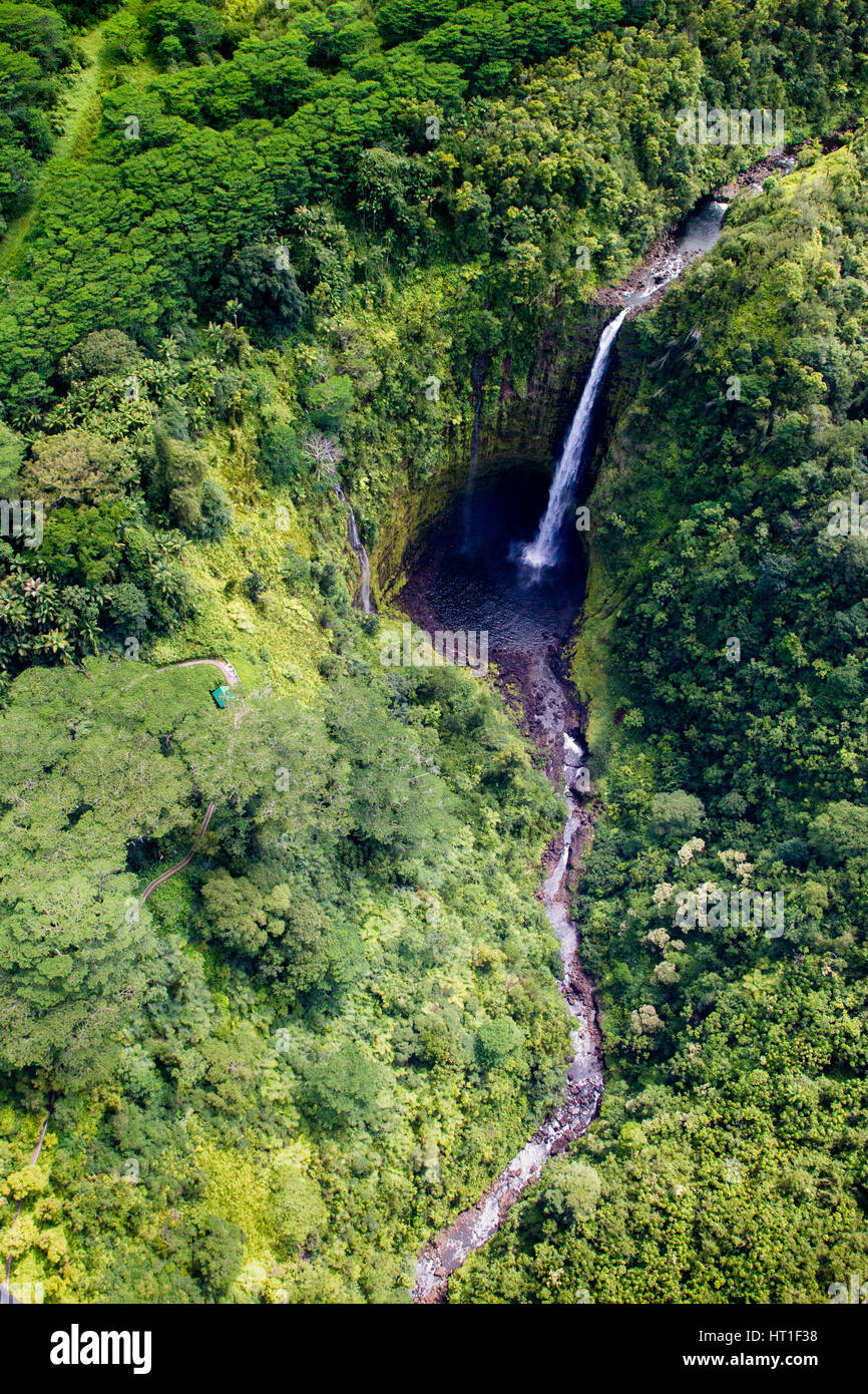 Luftaufnahme der Akaka Wasserfälle auf Big Island, Hawaii, USA. Stockfoto