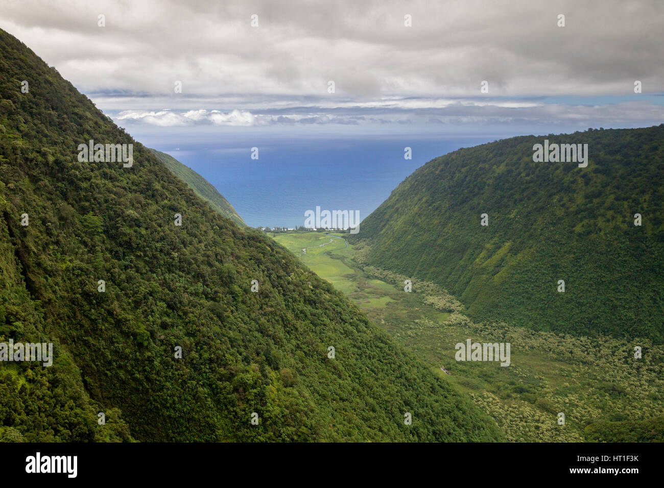 Luftaufnahme des Waimanu Tal an der Ostküste von Big Island, Hawaii, USA. Stockfoto