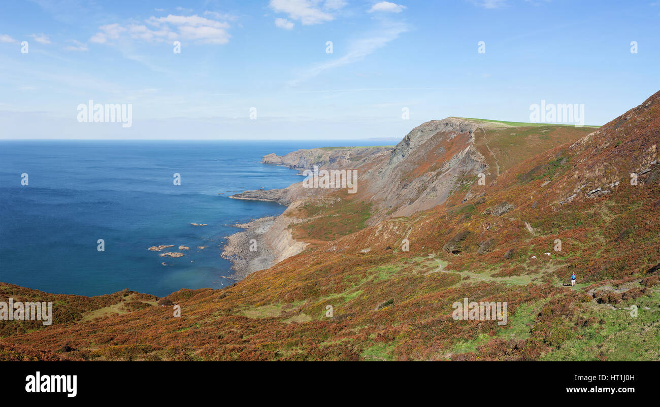Blick von Klippen und Küsten von South West Coast Path in der Nähe von Crackington Haven in North Cornwall, England. Stockfoto