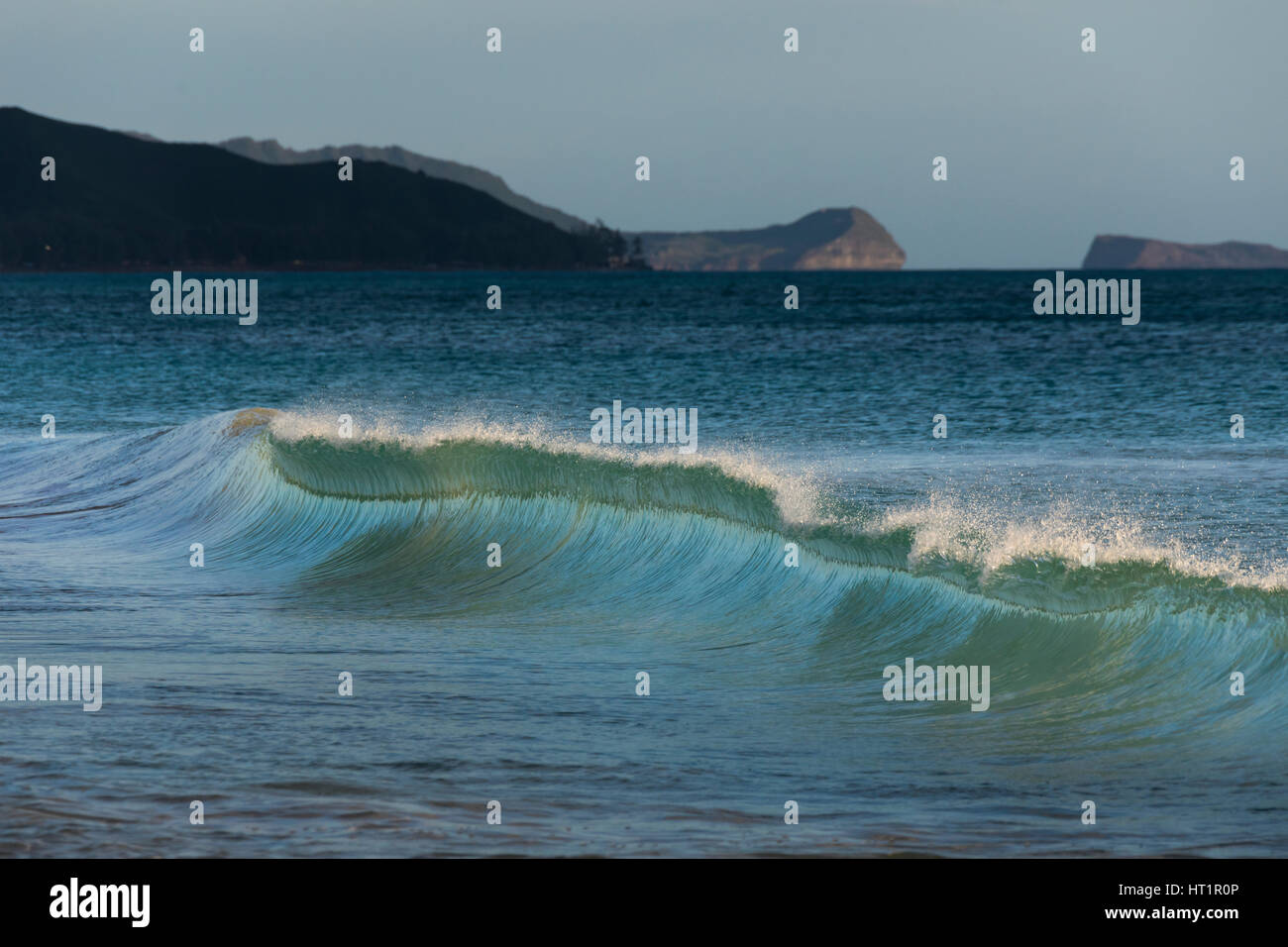 Eine brechende Welle am Waimanalo Beach Park, Oahu. Stockfoto
