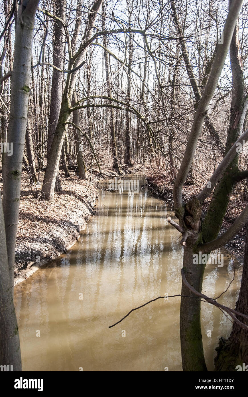 Mlynka Wasser Bach (Bach) mit Bäumen um klaren Himmel in landschaftsschutzgebietes poodri zwischen polanka nad odro und jistebnik in der Nähe der Stadt Ostrava in der Tschechischen Republik und Stockfoto