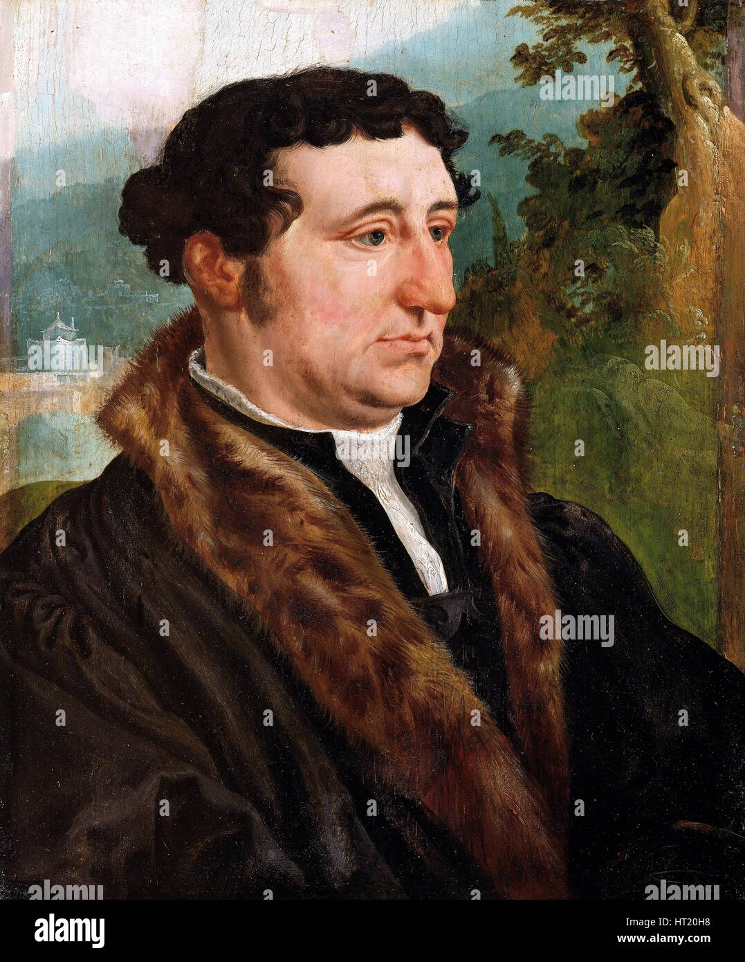 Heemskerck martin van Fotos und Bildmaterial in hoher Auflösung Alamy