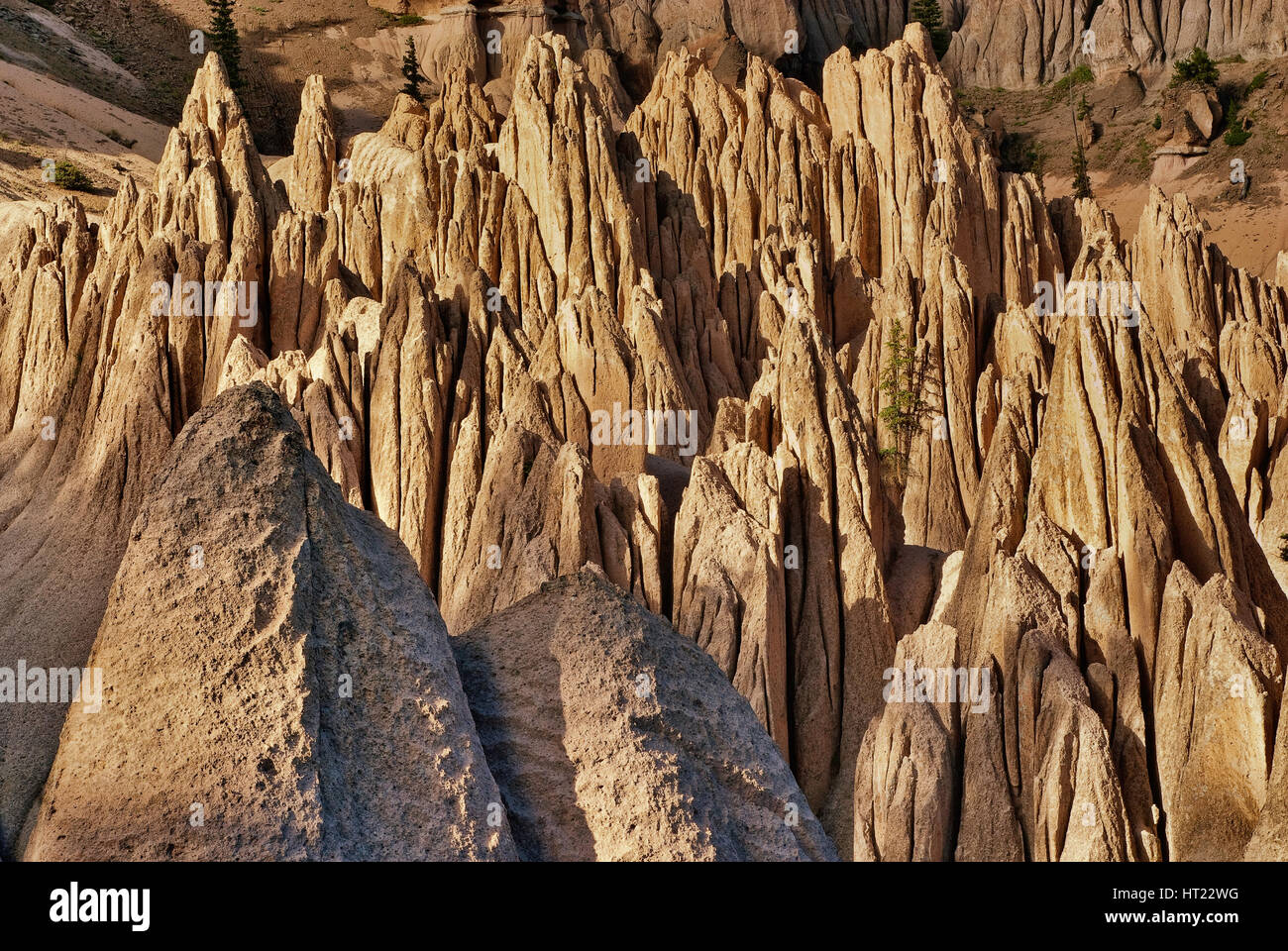 Vulkanische Tuff-Hoodoos im geologischen Gebiet von Wheeler in San Juan Mountains, Colorado, USA Stockfoto