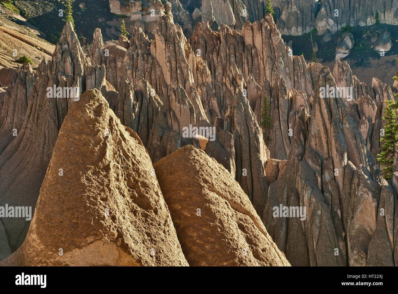 Vulkanische Tuff-Hoodoos im geologischen Gebiet von Wheeler in San Juan Mountains, Colorado, USA Stockfoto