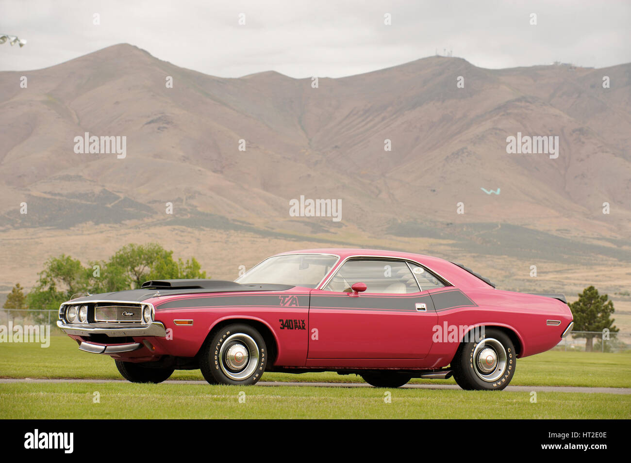 Dodge Challenger TA 1970. Künstler: Simon Clay. Stockfoto