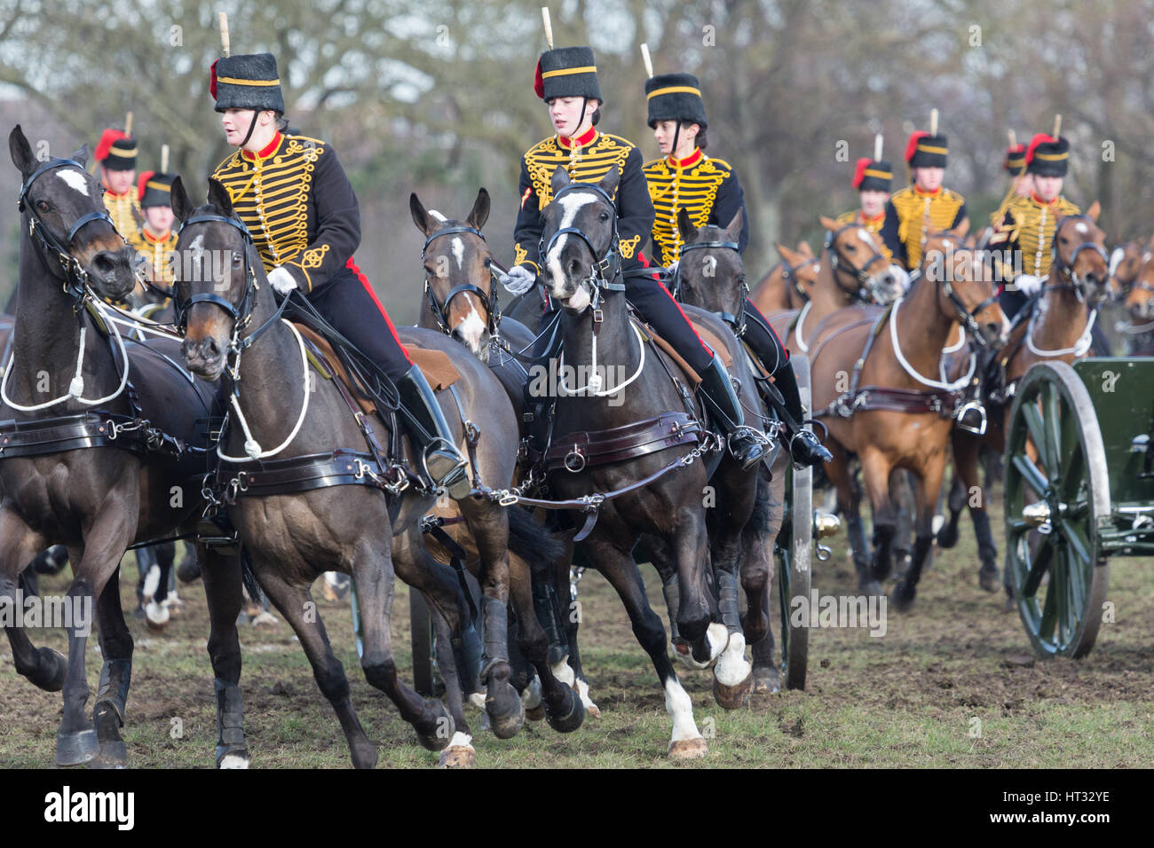 Woolwich, London, UK. 7. März 2017. Des Königs Troop Royal Horse Artillery hatten ihre jährliche Inspektion bei der Royal Artillery Barracks in Woolwich, Süd-Ost-London. Bildnachweis: Rob Powell/Alamy Live-Nachrichten Stockfoto