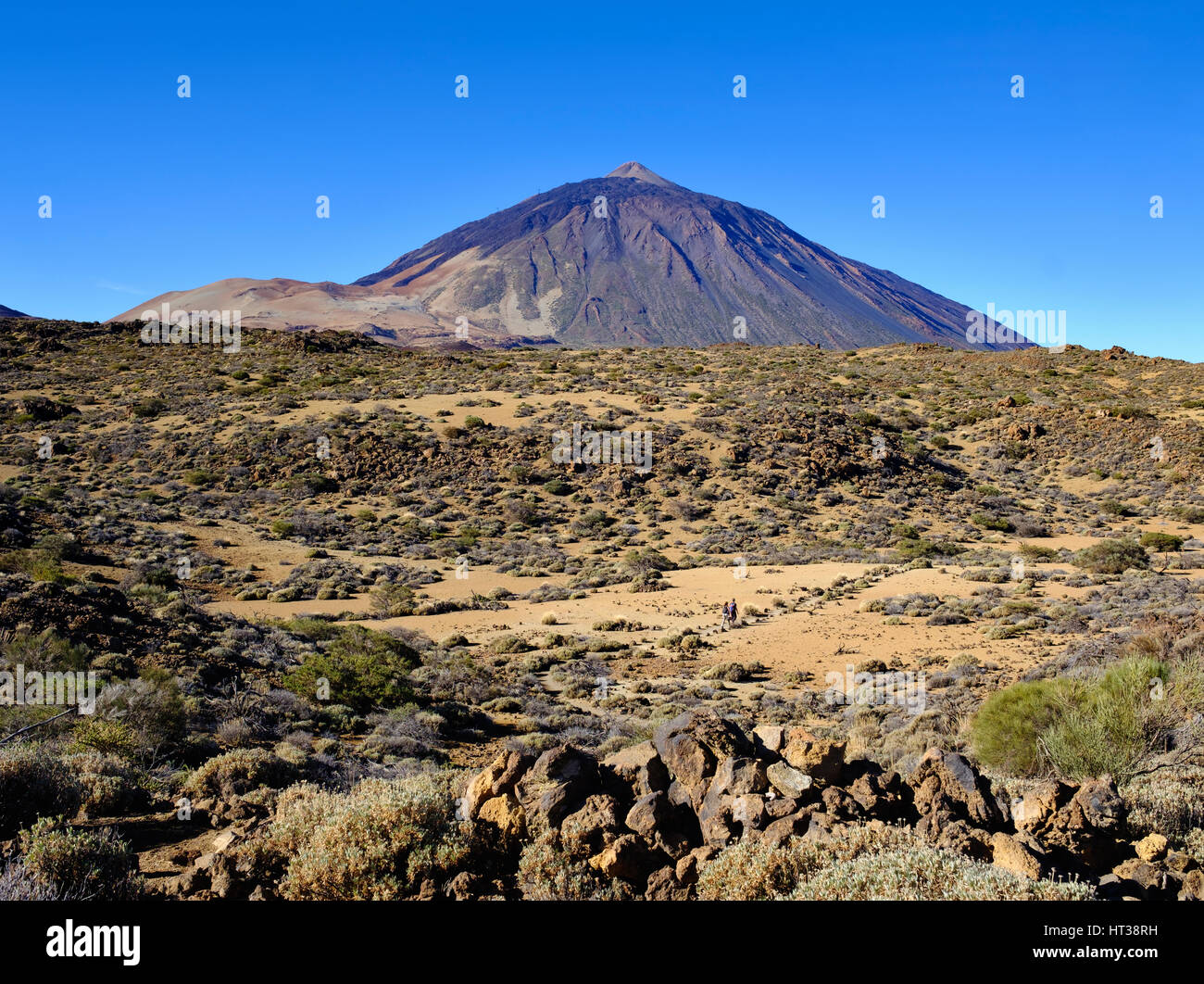 Pico del Teide, Nordosten, Teide Nationalpark Parque Nacional de Las Cañadas del Teide, Teneriffa, Kanarische Inseln, Spanien Stockfoto